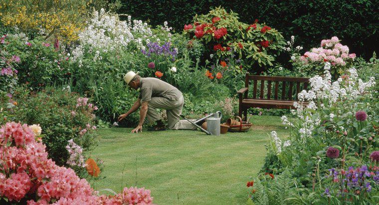  Düşlerinizdeki bahçeler için...